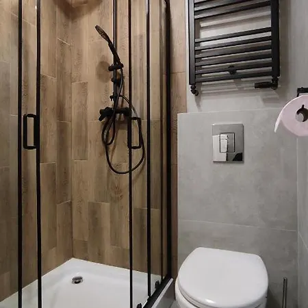 Opawska 16 Apartment Gliwice