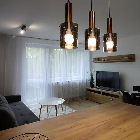 Apartment Opawska 16 *